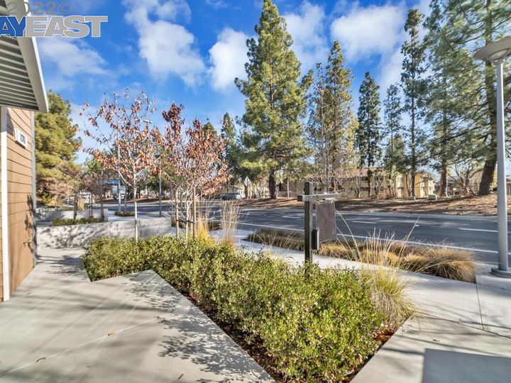 10111 N Foothill Blvd, Cupertino, CA | Cupertino. Photo 40 of 43