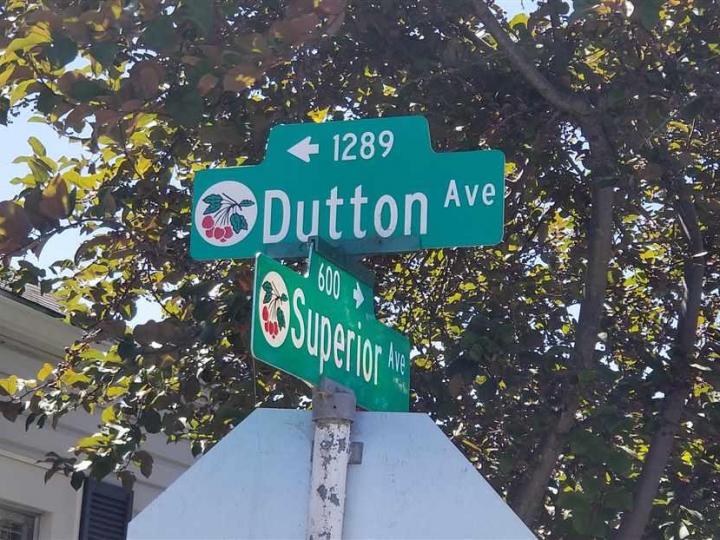 1289 Dutton Ave, San Leandro, CA | Estudillo Estates. Photo 33 of 34