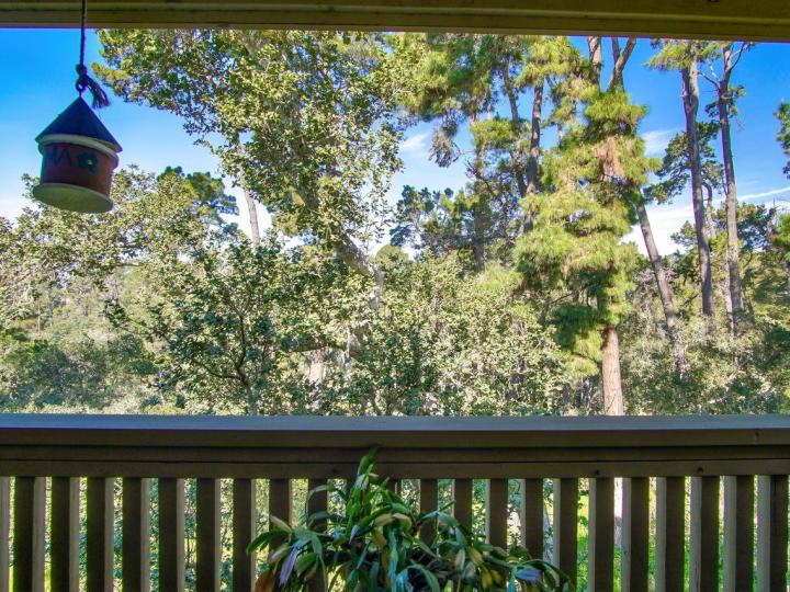 1360 Josselyn Canyon Rd #4, Monterey, CA, 93940 Townhouse. Photo 31 of 40