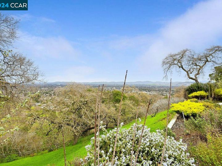 141 Rosemont Ct, Walnut Creek, CA | Secluded Valley. Photo 31 of 39