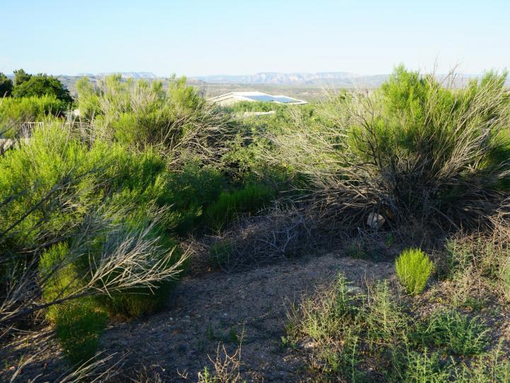1741 Silver Spur Cir, Clarkdale, AZ | Under 5 Acres. Photo 9 of 12