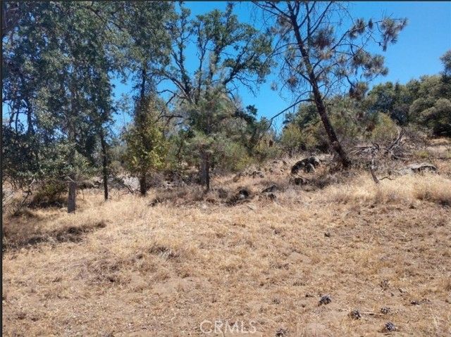 1779 Revis Rd Coarsegold CA. Photo 1 of 6