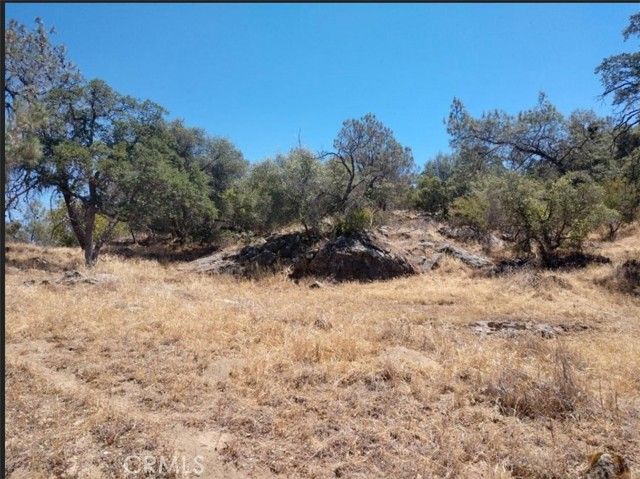 1779 Revis Rd Coarsegold CA. Photo 2 of 6