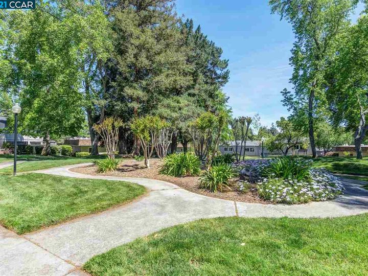 1806 Cannon Dr, Walnut Creek, CA, 94597 Townhouse. Photo 32 of 36