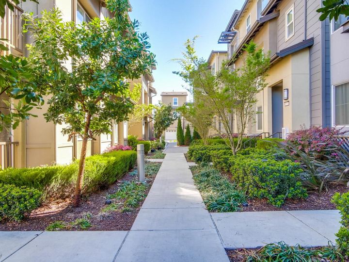 1913 Cadence Ln, Milpitas, CA, 95035 Townhouse. Photo 60 of 60