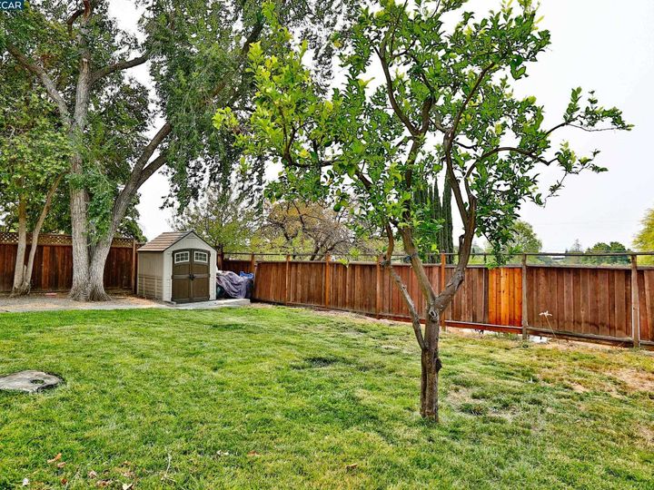 2438 Upland Dr, Concord, CA | Glenbrook Hghts. Photo 23 of 26