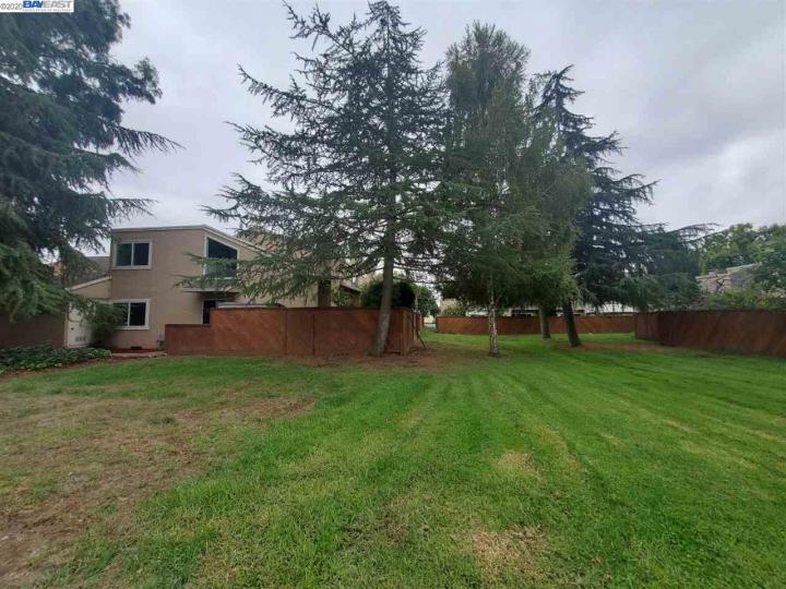 27659 Persimmon Dr, Hayward, CA, 94544 Townhouse. Photo 31 of 35