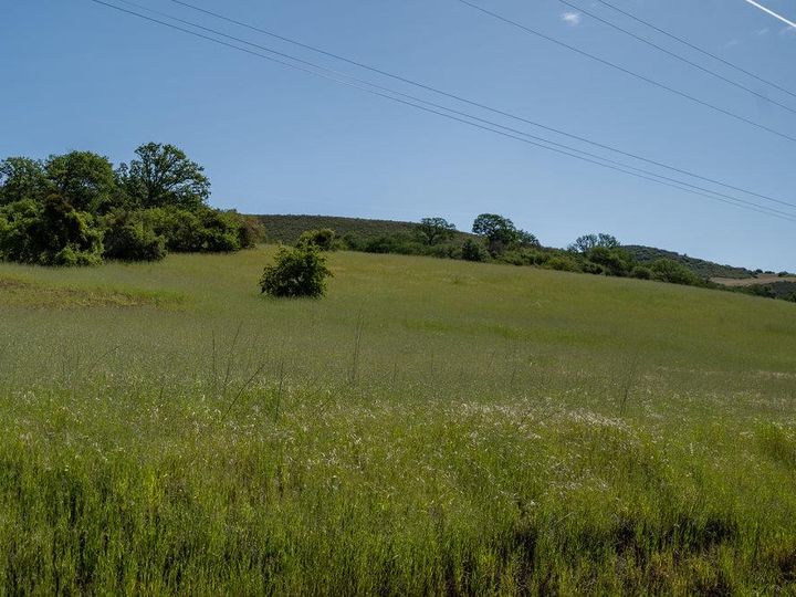43575 Carmel Valley Rd Greenfield CA. Photo 24 of 28