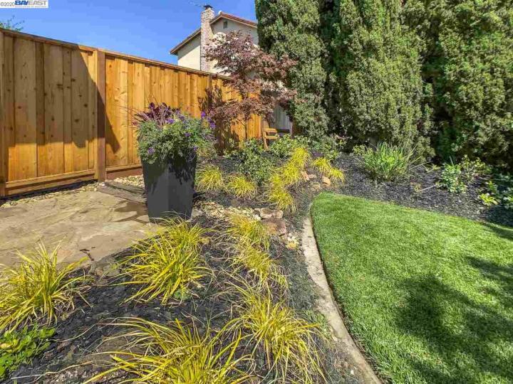 48220 Hackberry St, Fremont, CA | Warm Springs. Photo 24 of 27
