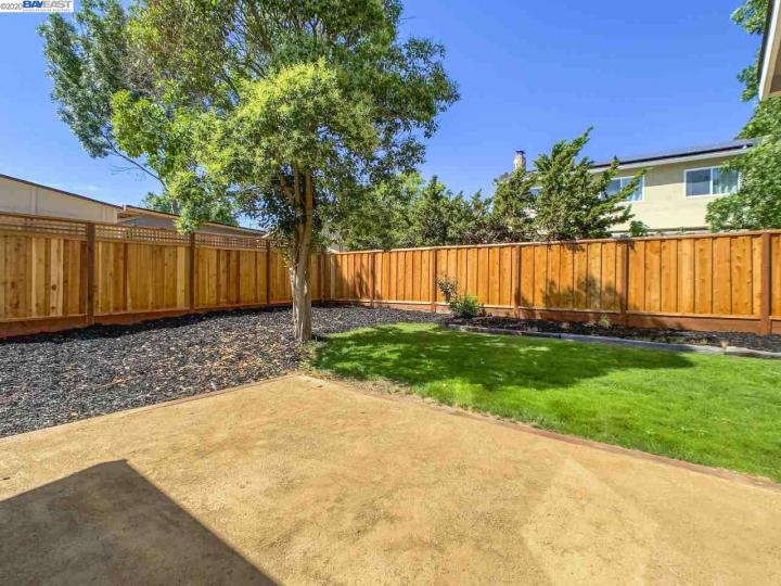 48220 Hackberry St, Fremont, CA | Warm Springs. Photo 25 of 27