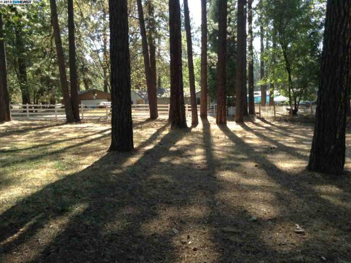 5356 Doty Ln, Placerville, CA | . Photo 13 of 25
