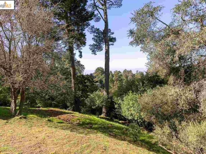 6447 Melville Dr, Oakland, CA | Piedmont Pines. Photo 33 of 39