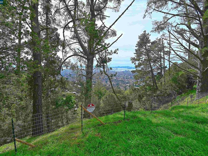 846 Panoramic Berkeley CA. Photo 4 of 14