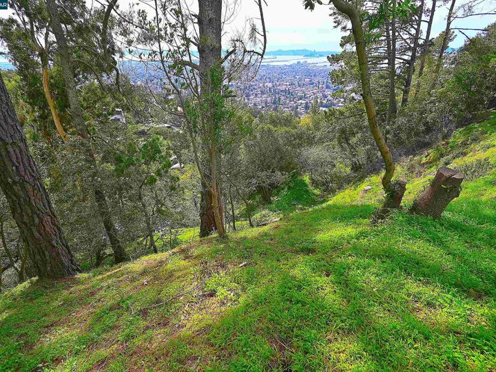 846 Panoramic Berkeley CA. Photo 8 of 14