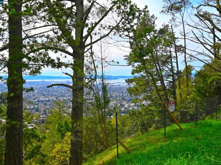 846 Panoramic Berkeley CA. Photo 9 of 14