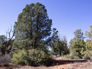 10 Bronco Dr, Sedona, AZ | Thunder Mnt Ranch. Photo 4 of 13