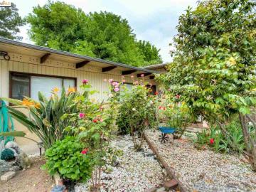 1123 Temple Dr, Pacheco, CA | Beckett Acres. Photo 4 of 35