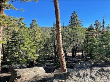 15328043 Piute Pines Rise, Caliente, CA