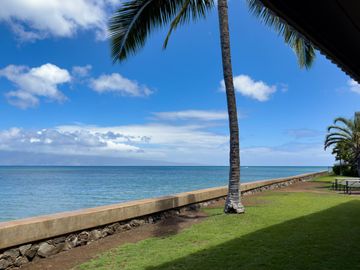Pohailani Maui condo #112. Photo 3 of 30