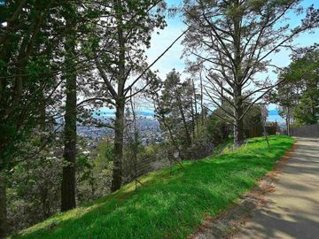 846 Panoramic Berkeley CA. Photo 5 of 14