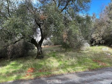Deer Path Cir Coarsegold CA. Photo 6 of 11